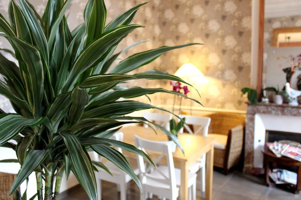 Hotel Les Aubepines Илье Экстерьер фото